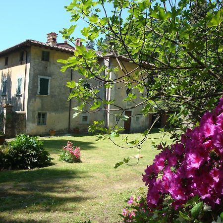 Bed & Breakfast Villa Masini-Luccetti Pietrasanta Exterior foto