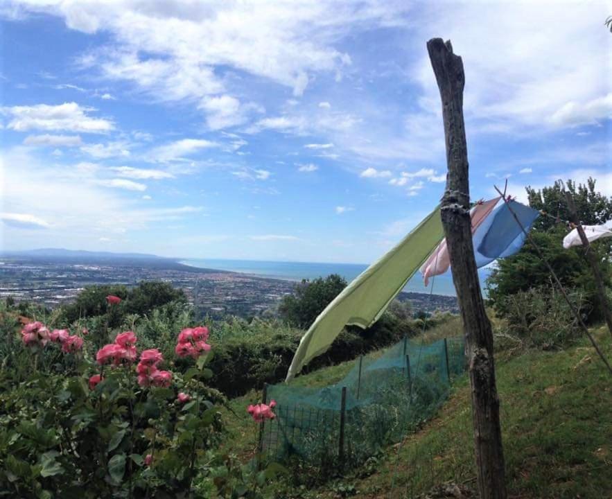 Bed & Breakfast Villa Masini-Luccetti Pietrasanta Exterior foto